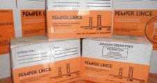 paket-pempek-lince-siap-kirim